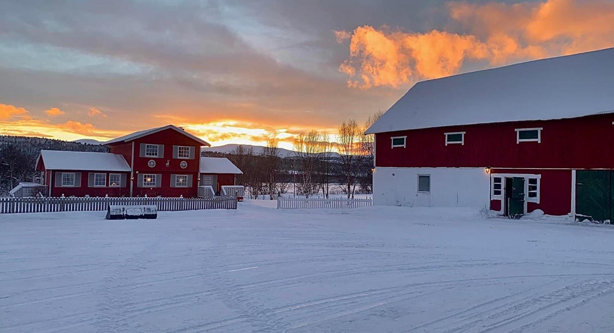 Harekroken Tynset Exteriör bild