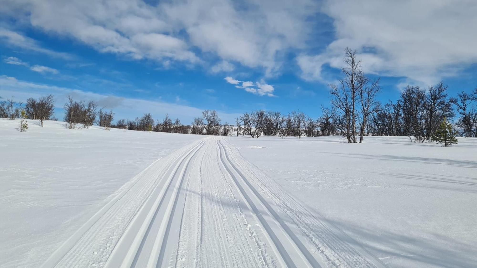 Harekroken Tynset Exteriör bild
